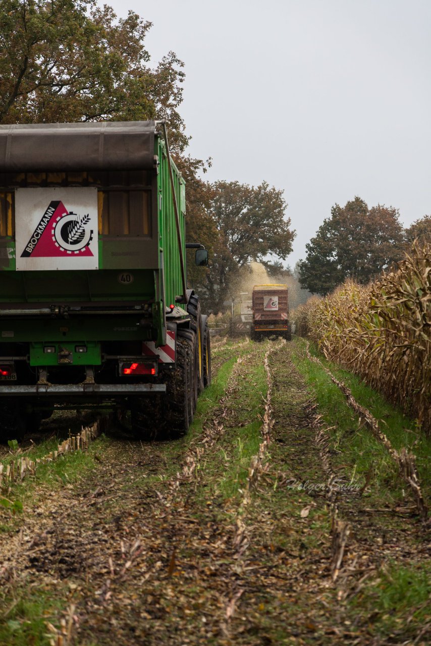 Bild 109 - Biogas am 21.10.12